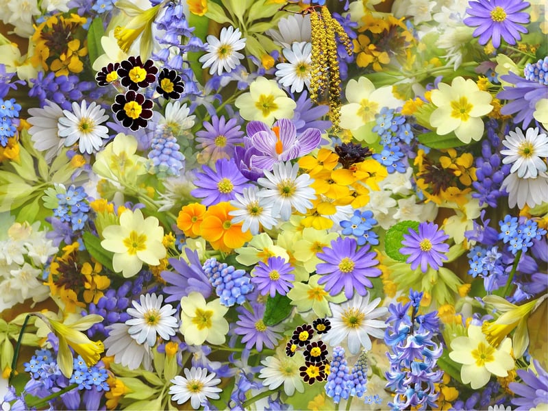 Blooming Beauties