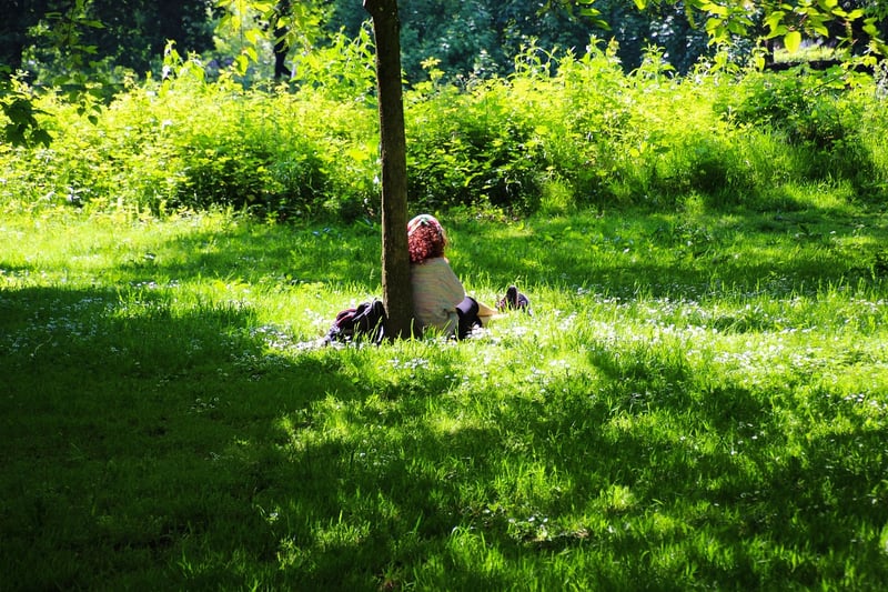 Tranquil Contemplation